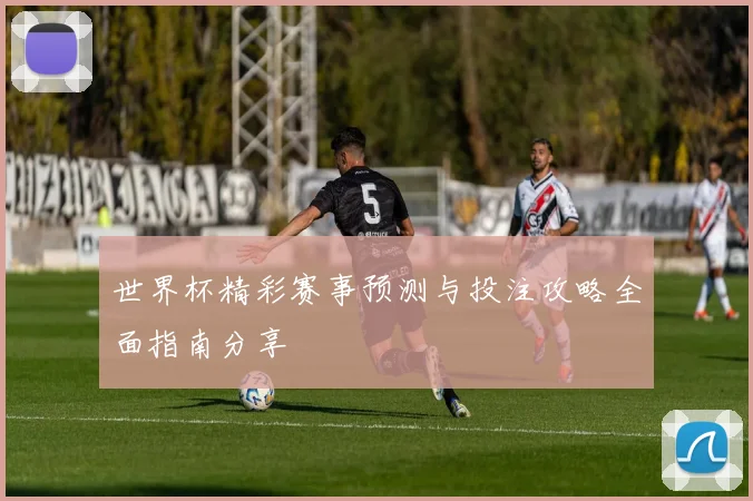 世界杯精彩赛事预测与投注攻略全面指南分享