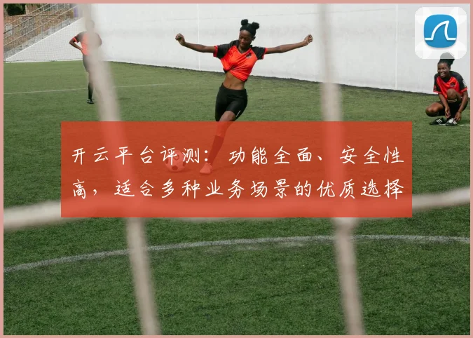 开云平台评测：功能全面、安全性高，适合多种业务场景的优质选择