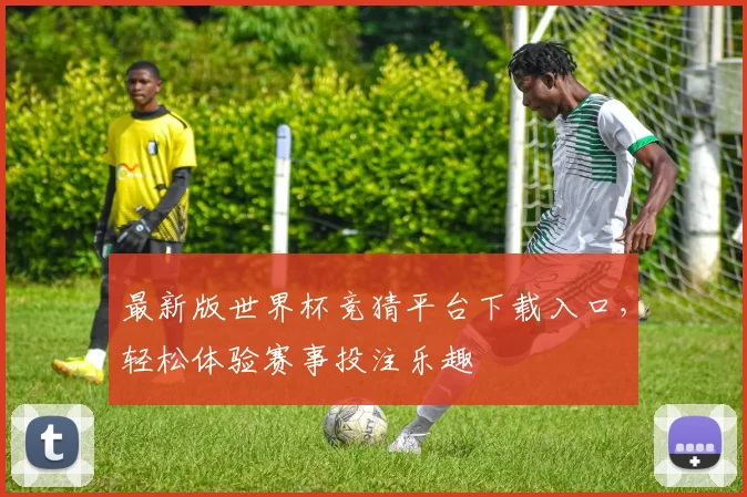 最新版世界杯竞猜平台下载入口，轻松体验赛事投注乐趣