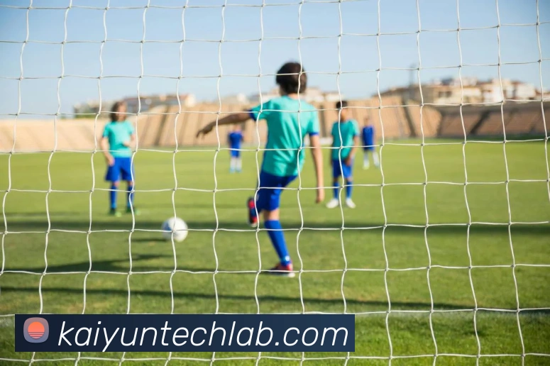 开云平台展示图